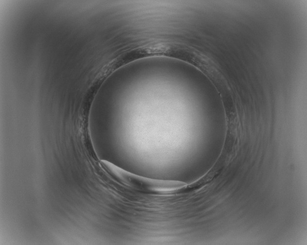 X0000067900604200604131356