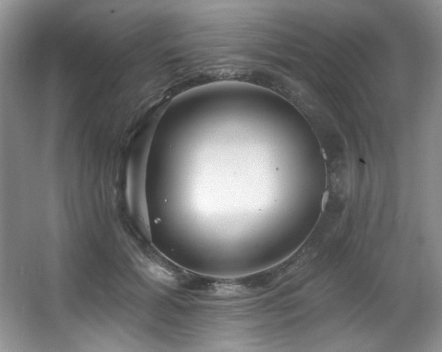 X0000067900605200604131356