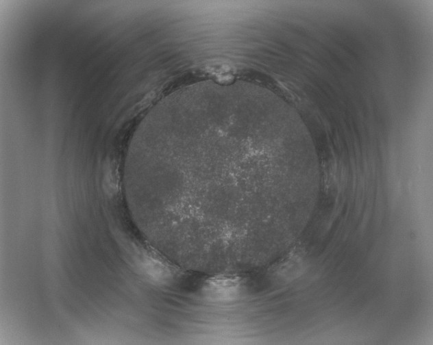 X0000067900606200604131356