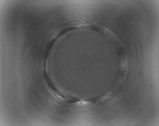 X0000067900607200604131356