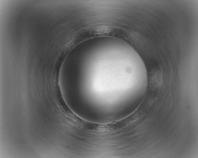 X0000067900608200604131356