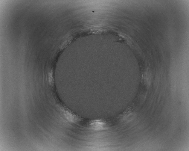 X0000067900610200604131356