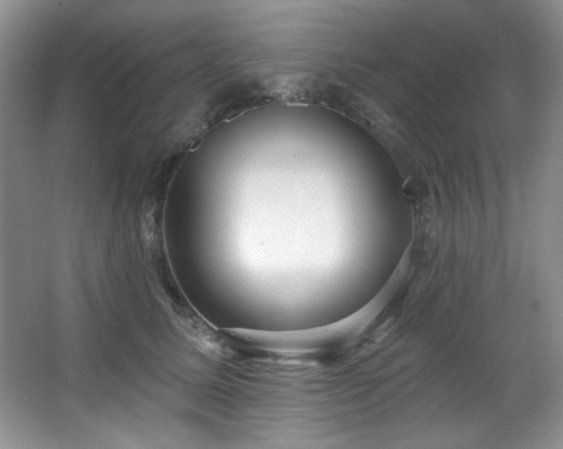 X0000067900611200604131356