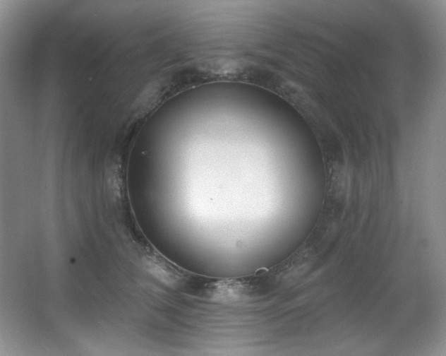 X0000067900612200604131356