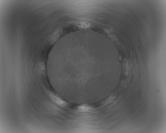 X0000067900614200604131356