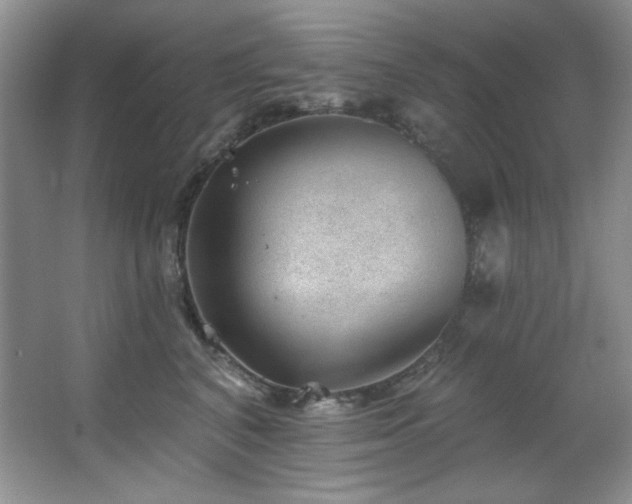 X0000067900616200604131356