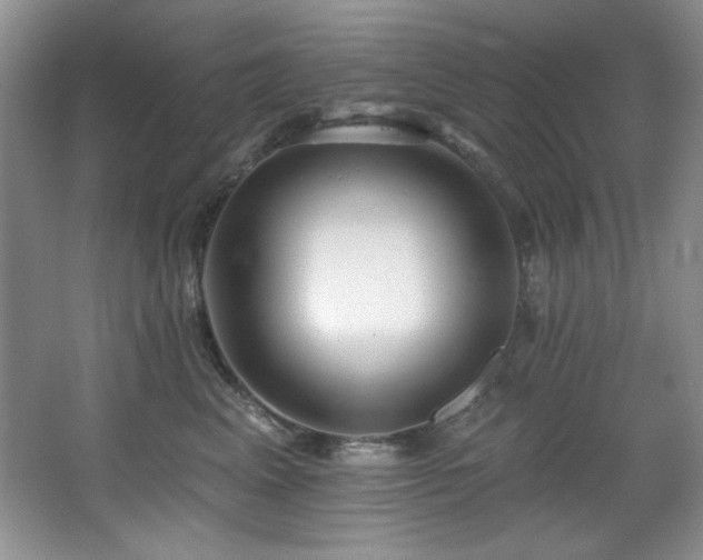 X0000067900617200604131356