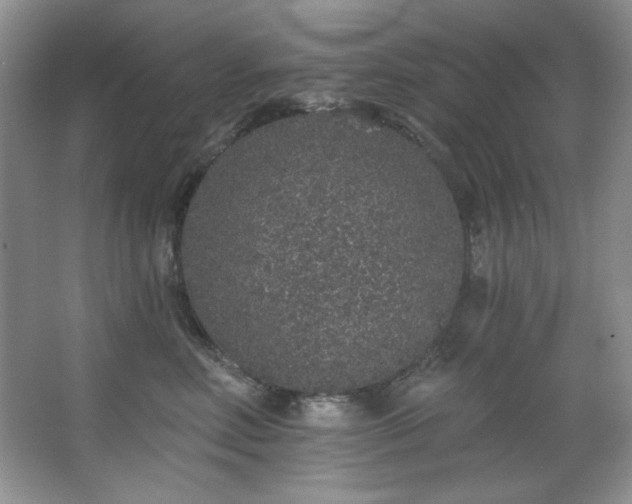 X0000067900618200604131356