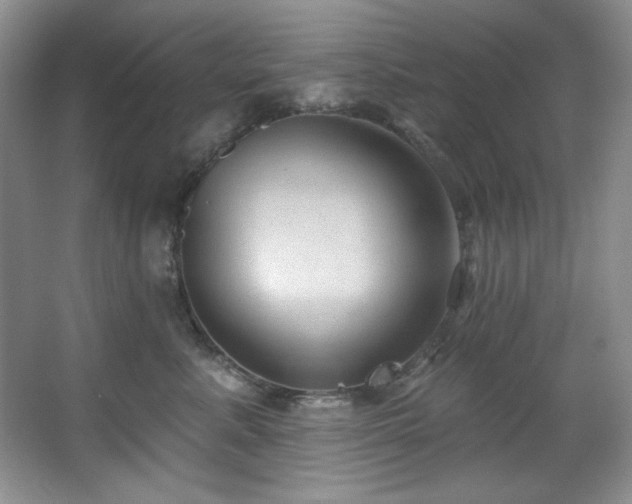 X0000067900619200604131356