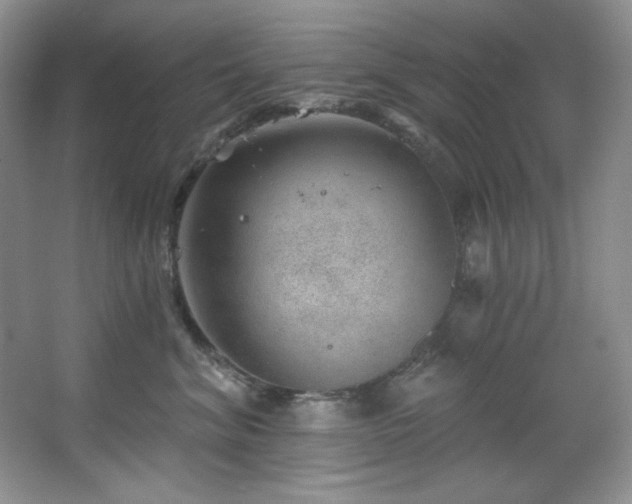 X0000067900620200604131356