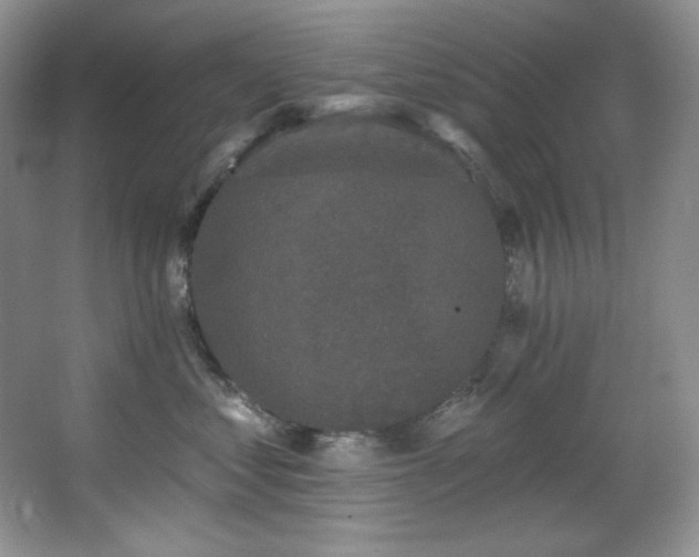 X0000067900621200604131356