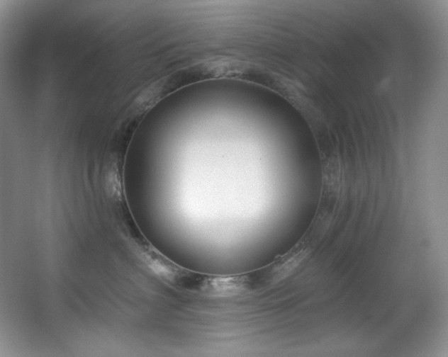 X0000067900622200604131356