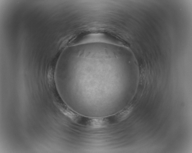 X0000067900623200604131356