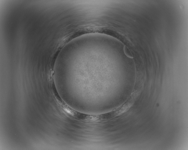 X0000067900624200604131356