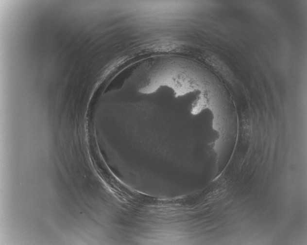 X0000067900626200604131355