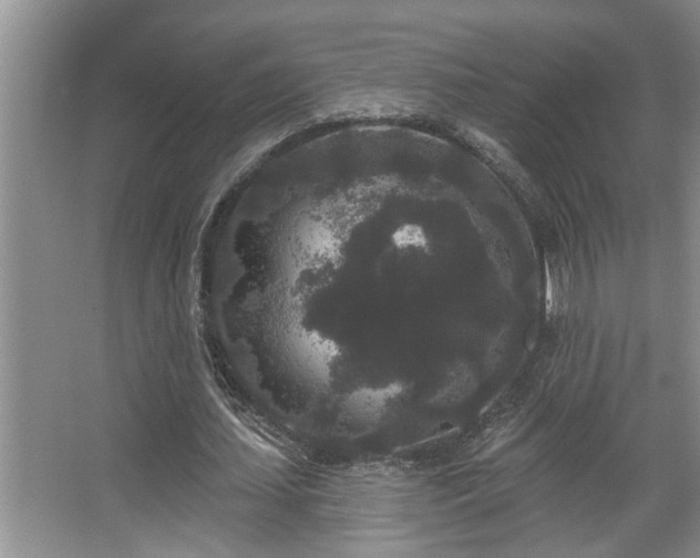 X0000067900627200604131355