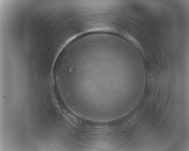 X0000067900628200604131355