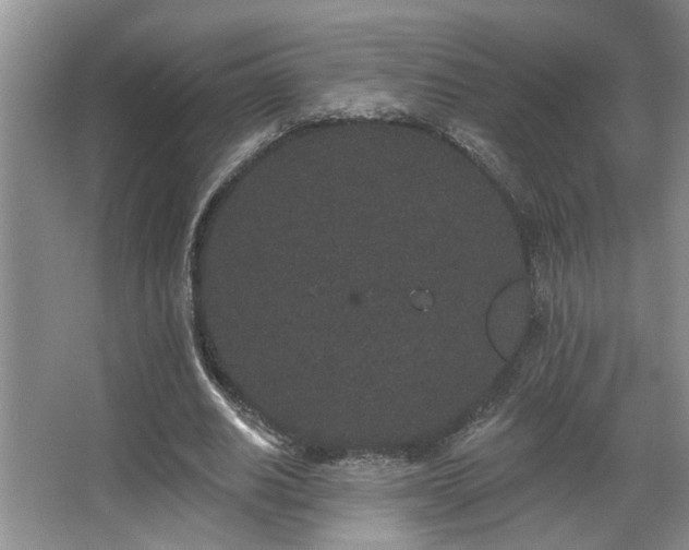 X0000067900630200604131355