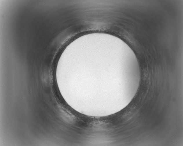 X0000067900632200604131355