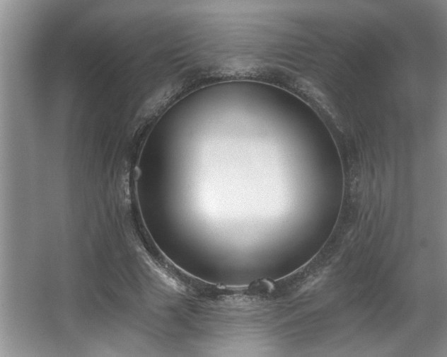 X0000067900633200604131355