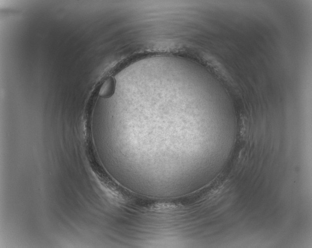 X0000067900636200604131355