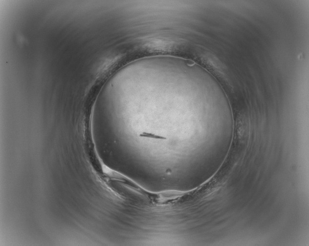 X0000067900637200604131355