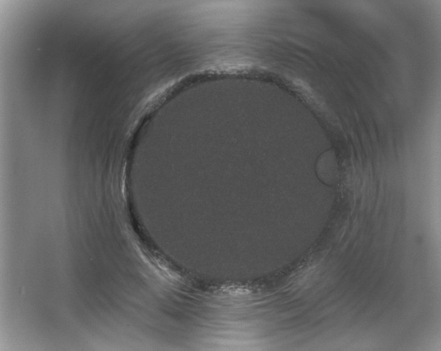 X0000067900640200604131355