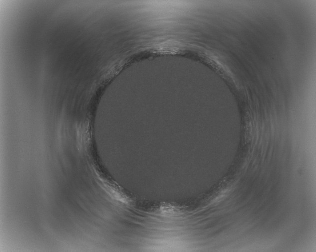 X0000067900641200604131355