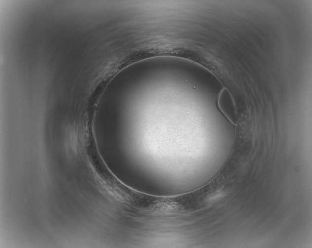 X0000067900642200604131355