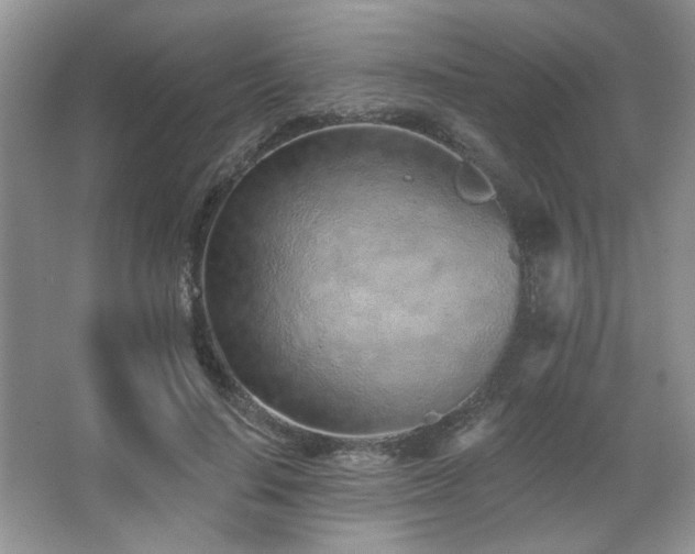 X0000067900644200604131355