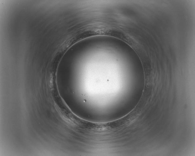 X0000067900646200604131355