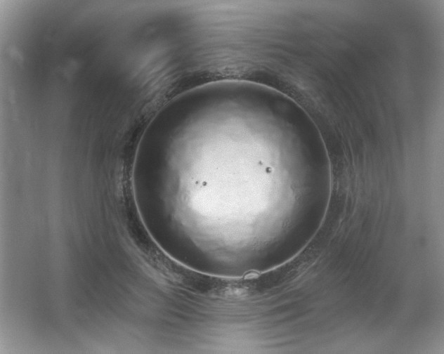 X0000067900647200604131355