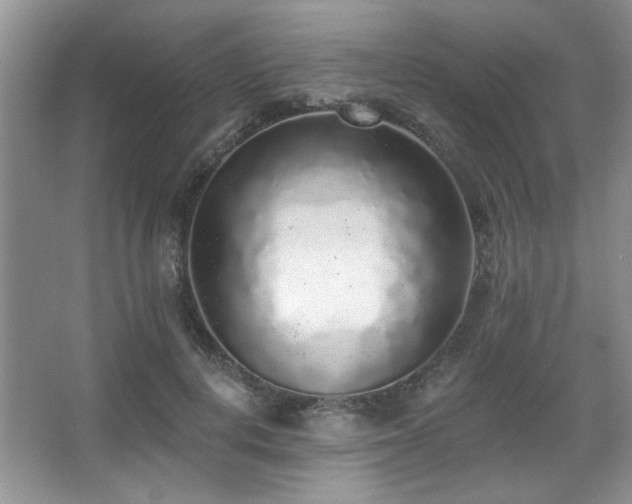 X0000067900648200604131355