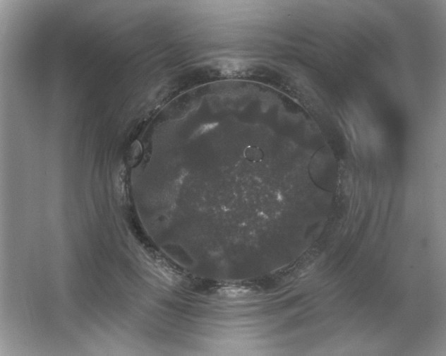 X0000067900650200604131355