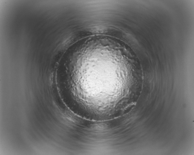 X0000067900652200604131355