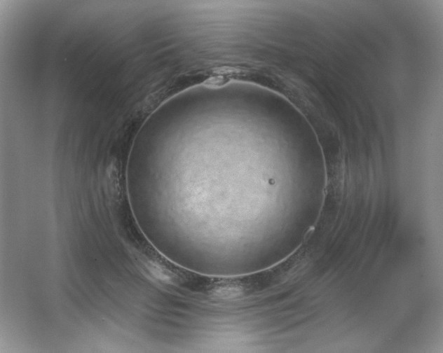 X0000067900653200604131355