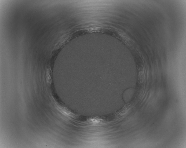 X0000067900654200604131356