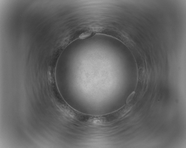 X0000067900655200604131356