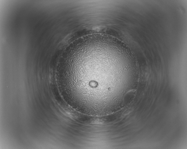 X0000067900656200604131356