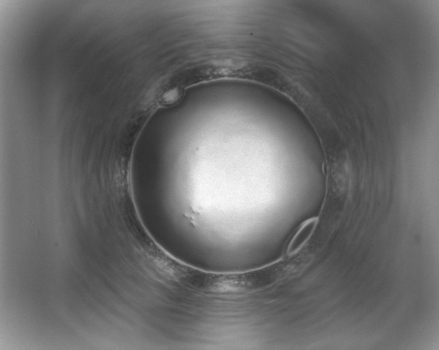 X0000067900657200604131356