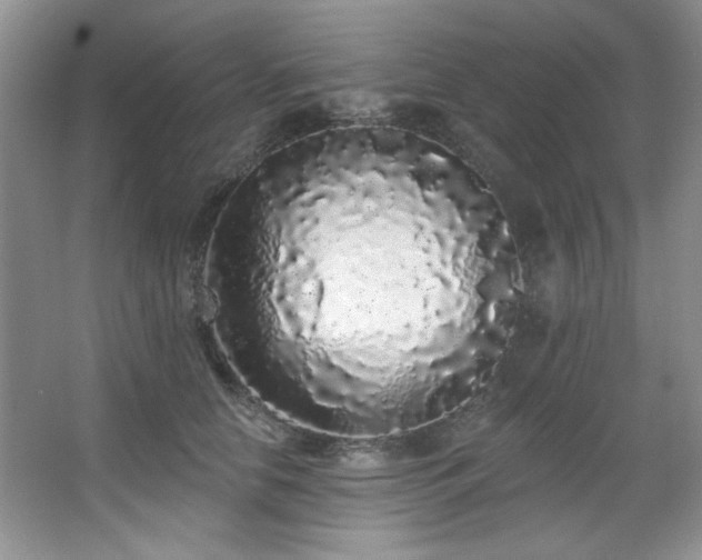 X0000067900658200604131356