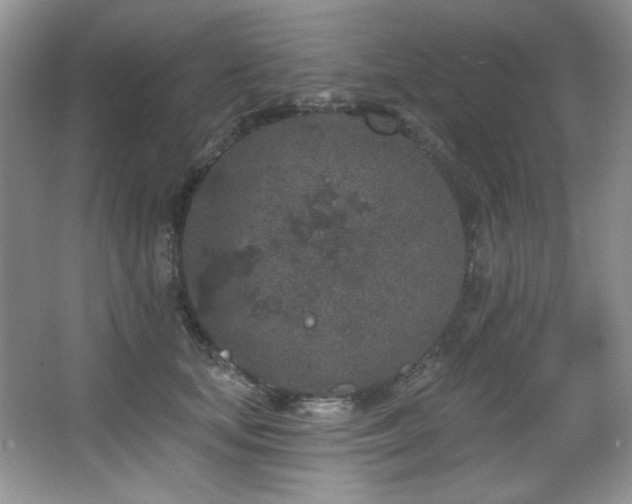 X0000067900659200604131356