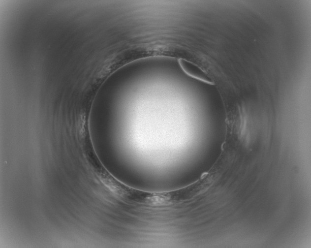 X0000067900660200604131356