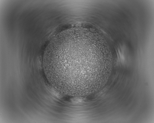 X0000067900661200604131356