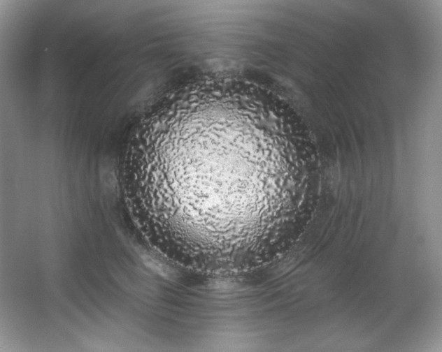 X0000067900662200604131356