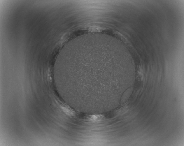 X0000067900663200604131356