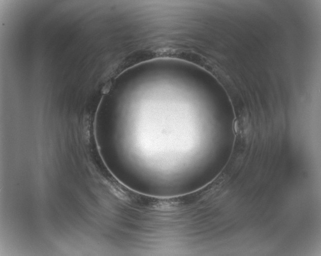 X0000067900664200604131356