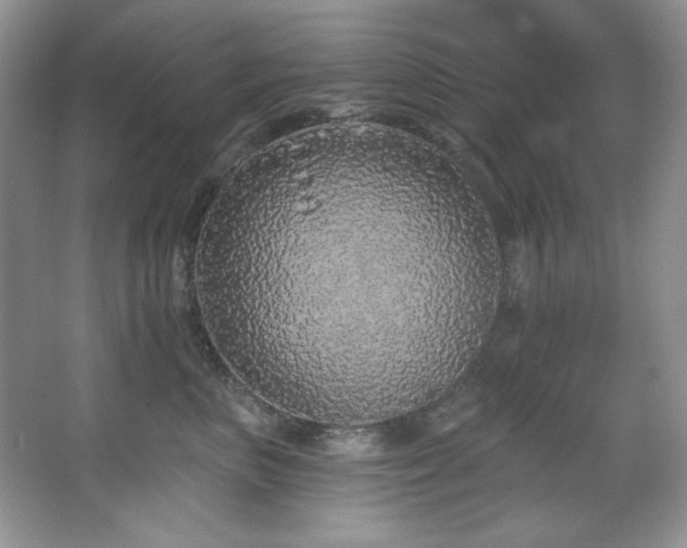 X0000067900667200604131356