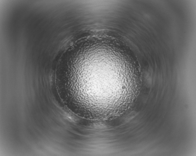 X0000067900668200604131356