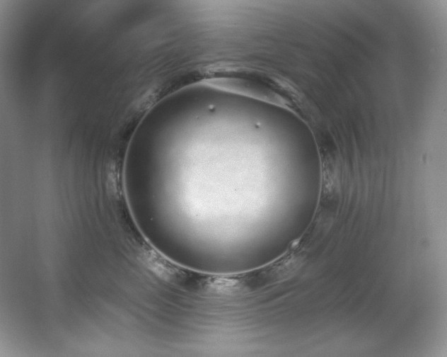 X0000067900669200604131356